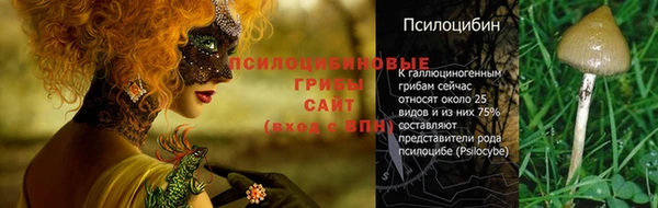 jwh Инта
