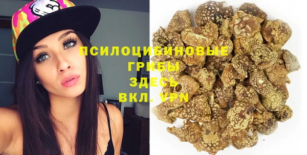 ALPHA PVP Иннополис