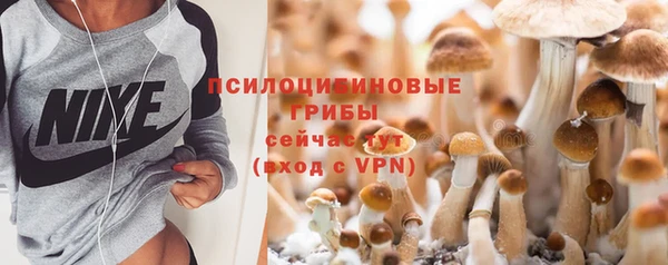 трава Инсар